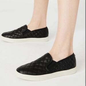 Steve Madden ECENTRCQ BLACK New in the box